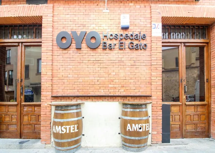 Oyo Hospedaje El Gato Segovia